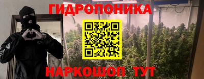 мяу мяу мука Абакан