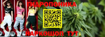 мяу мяу мука Абакан