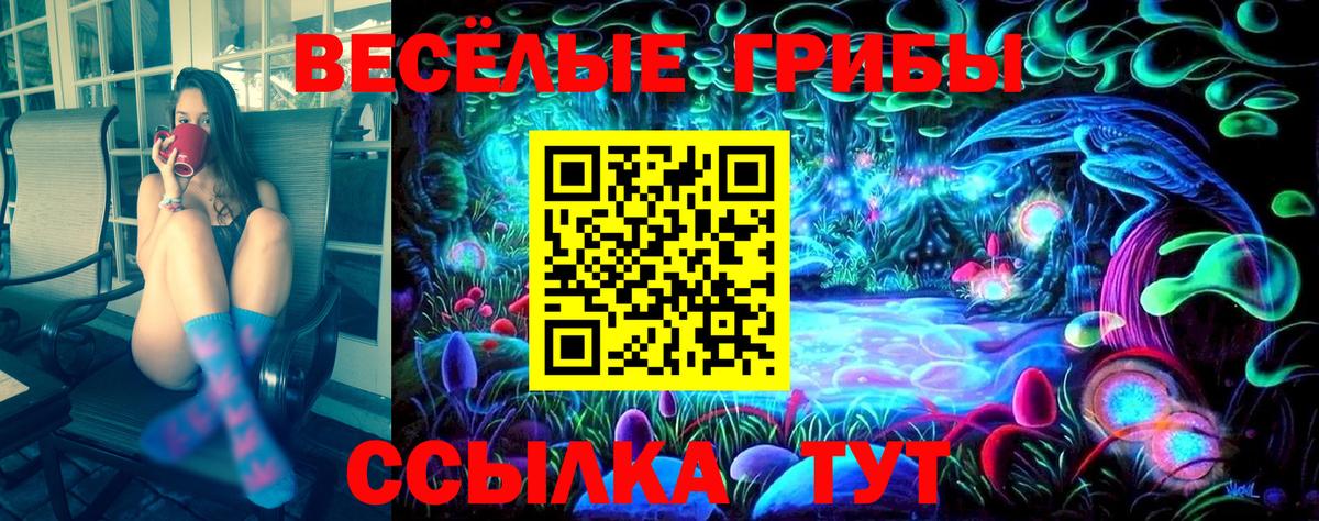 Амурск  Псилоцибиновые грибы GOLDEN TEACHER  наркота  Вход с VPN 